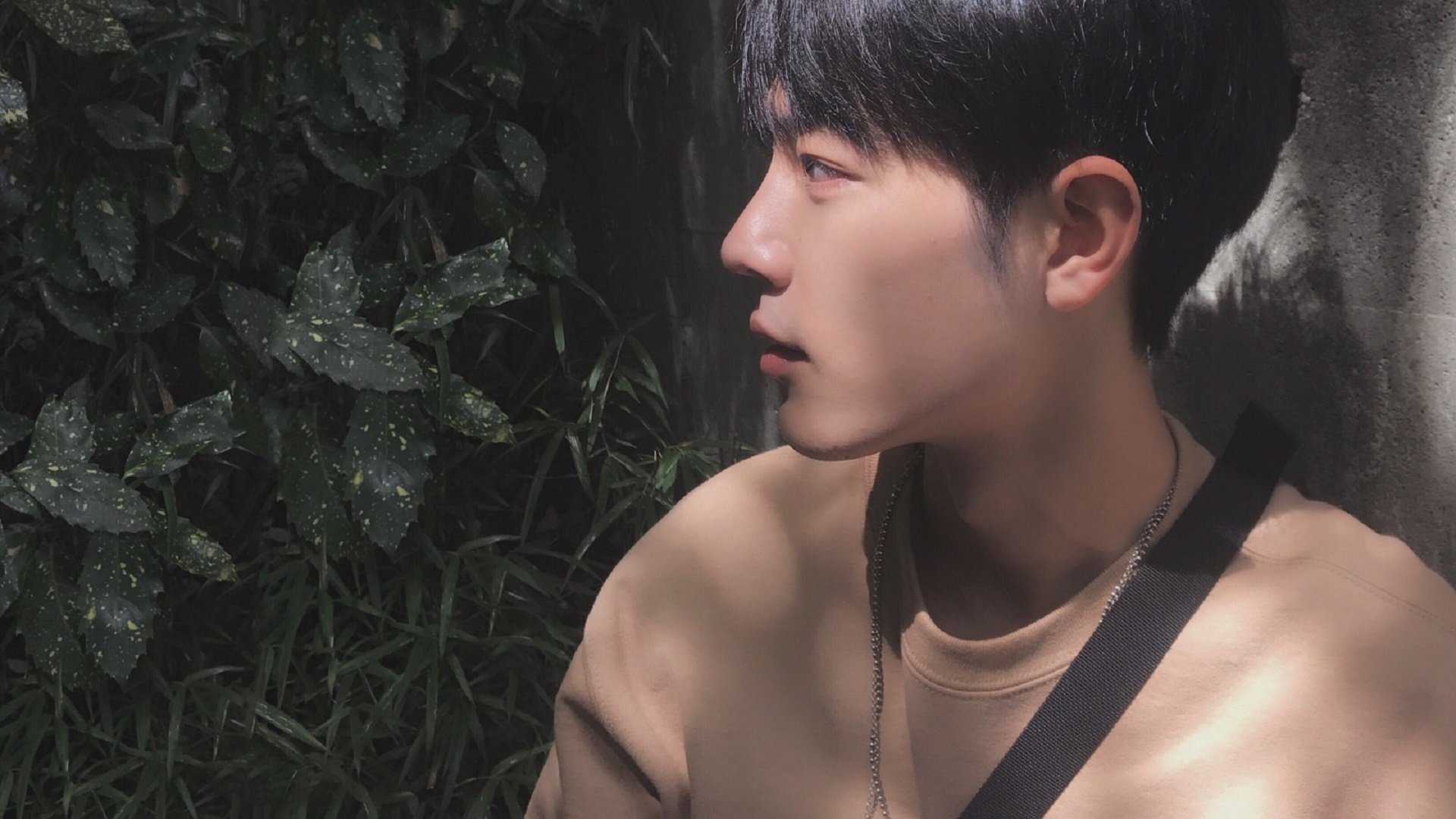 中国女篮亚运会夺冠 全员贡献力量，中国女篮亚运会冠军